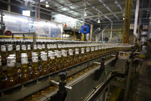 干杯 西澳最大的啤酒廠開新的啤酒館了 一起去嘗嘗唄